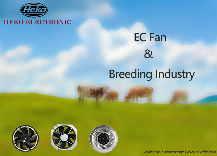 Aplicación de ventilador de la industria de la cría